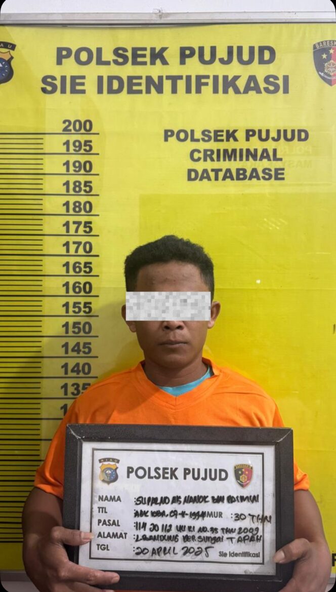 
					Polsek Pujud Polres Rohil Berhasil Amankan Pria yang Diduga Sering Bertransaksi Sabu di Simpang Lombok