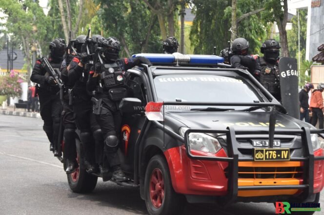 
					Polda Riau Bentuk Tim Khusus Anti Kejahatan Jalanan, Dilatih Intensif Dansat Brimob