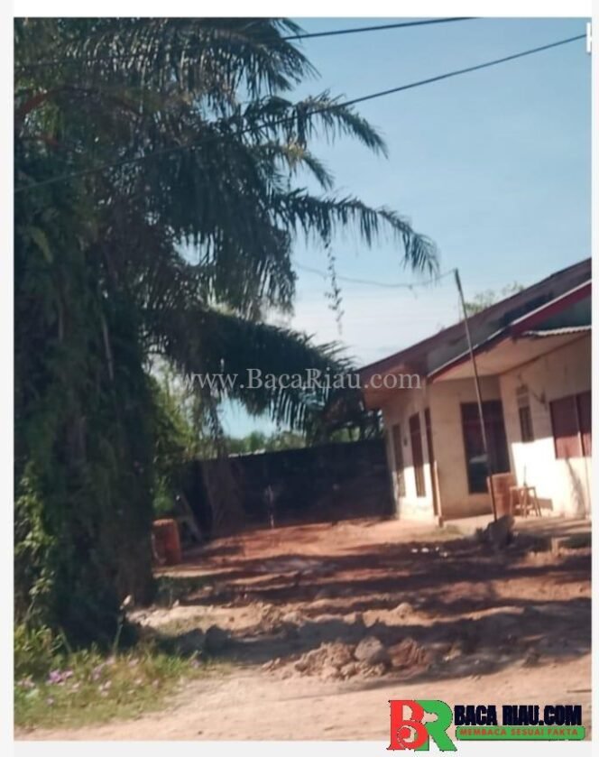 
					Diduga Ilegal, Maraknya Penimbunan BBM Di Kota Dumai, APH di Minta Gerak Cepat