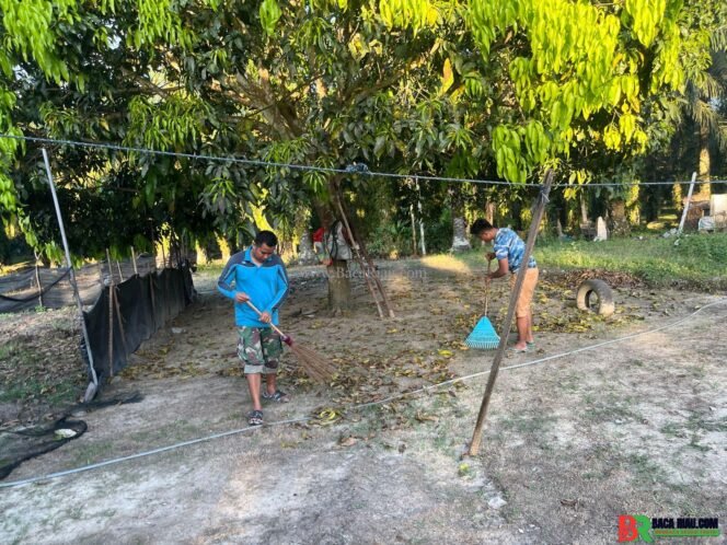 
					Manfaatkan Waktu Luang, Satgas TMMD Bantu Orangtua Asuh Bersihkan Lingkungan