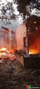 Hanguskan Rumah Warga di Koto Sentajo, Diduga Akibat Korsleting Listrik