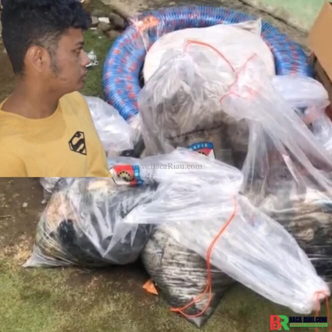 
					Sadis !!  kronologis Lengkap ,Wanda Si Pendiam,Jadi Jagal Wanita, Tragedi Di Balik Senyum Tipis 3 Nyawa Melayang, 2 Di cor, 1 Dimutilasi