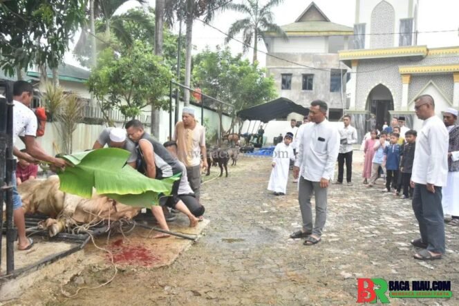 
					Korem 031/Wirabima Gelar shalat Idul Adha dan Penyembelihan Hewan Qurban 