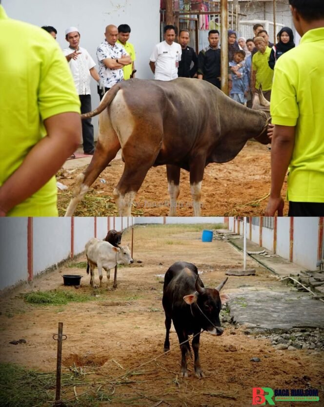 
					Kebersamaan di Balik Jeruji, Rutan Dumai Laksanakan Penyembelihan Hewan Kurban