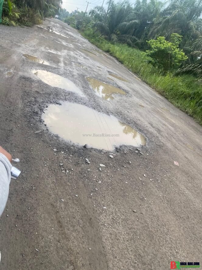 
					Jalan Rusak Parah di Suhada – Inhil ,Warga Mengeluh Sakit Badan hingga Trauma Berkendara