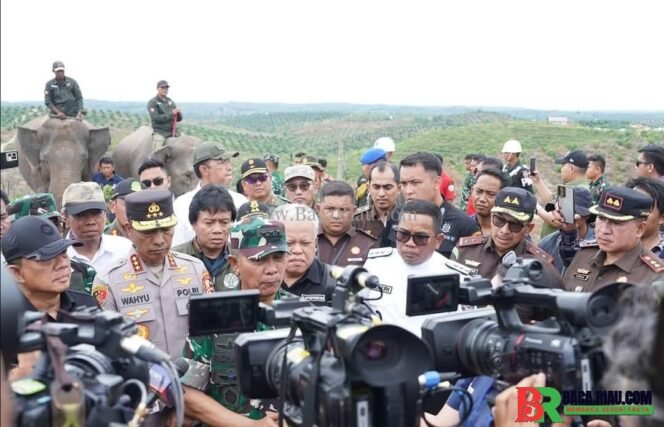 
					Penyelamatan Tesso Nilo: Langkah Tegas Pemulihan Paru-paru Dunia di Riau