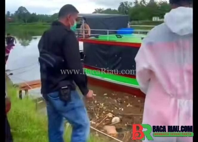 
					Mayat Tanpa Kepala Ditemukan di Padang Pariaman, Diduga Korban Mutilasi