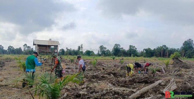 
					Babinsa Koramil 03/Bunut Dampingi Petani Tanam Padi Gogo dengan Sistem Tumpang Sari di Desa Delik