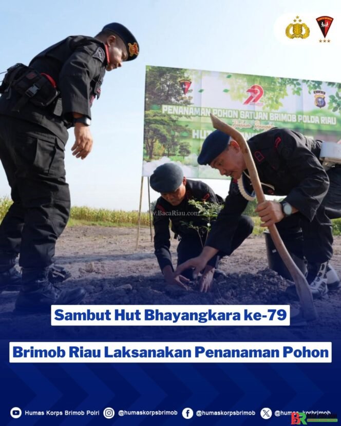 
					Sambut Hut Bhayangkara ke 79, Brimob Polda Riau laksanakan penanaman pohon