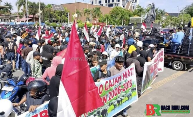 
					Sampaikan 5 Petisi, Ratusan Massa Aliansi Penyelamat Gajah Dukung Satgas PKH Tertibkan Perambah Tesso Nilo