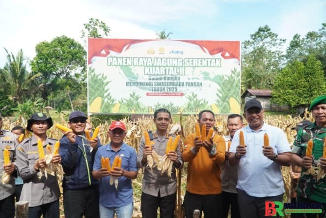 
					Kapolres AKBP Emil Eka Putra bersama Bupati Rohul, Panen Raya Jagung Serentak Kuartal ll di Dua Lokasi Berbeda