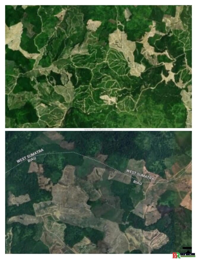 
					Mafia Perusakan Hutan Kian Menggurita, Polda Riau Tangkap Oknum Perangkat Desa dan ASN