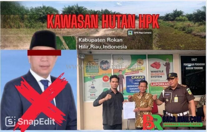 
					GARMASI Desak Satgas PKH Sita dan Periksa Anggota DPRD Rohil Amansyah, Diduga Kuasai Ratusan Hektare Hutan Ilegal