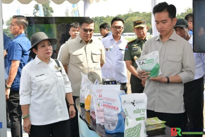 
					Dorong Swasembada Gula, Wapres Minta Petani Adopsi Teknologi Modern dan Libatkan Anak Muda