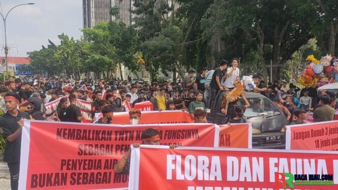 
					Kampanye Akbar Ribuan Mahasiswa Pemuda dan Masyarakat: Satgas PKH Harus Tegas Dalam Relokasi TNTN