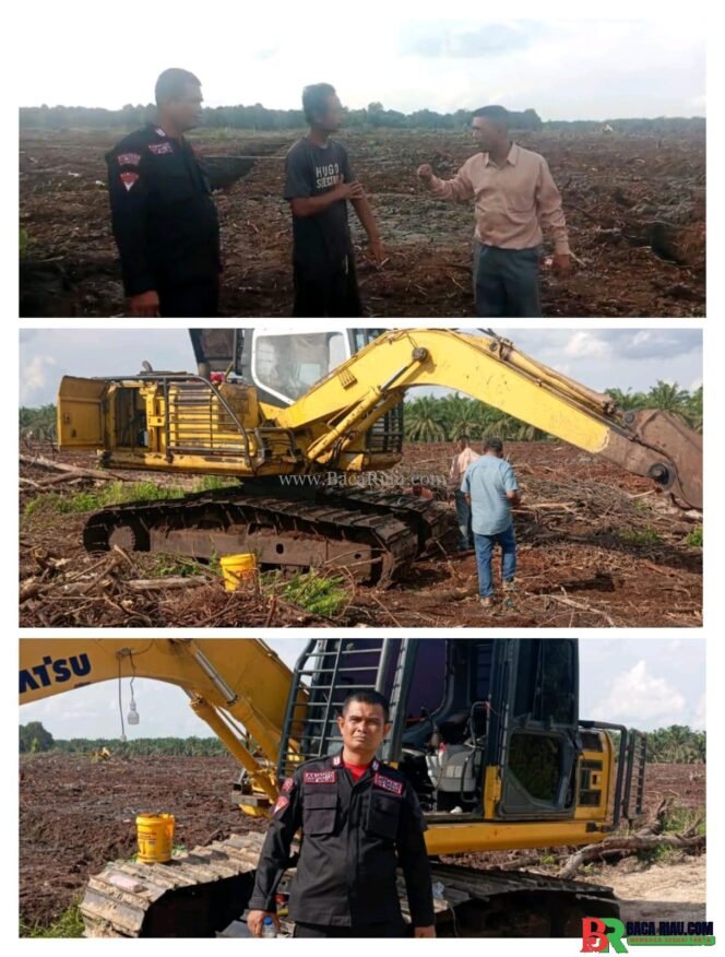 
					Hampir 20 hektar lebih kawasan Hijau di kabupaten Pelalawan digarap oleh oknum tak bertanggung jawab 