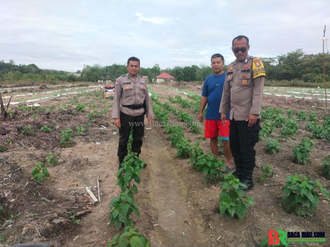 
					Generasi Z Peduli Hutan, Kapolda Riau Ajak Pelajar Jadi Pohon Harapan Masa Depan