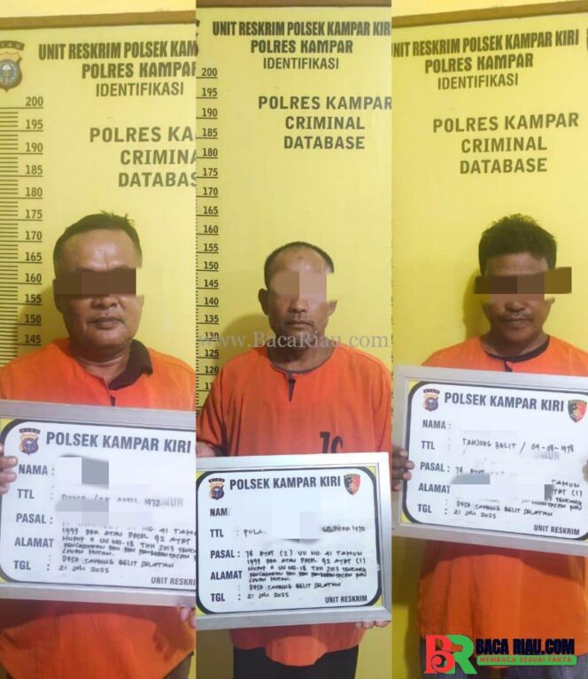 
					Tiga Pelaku Perambahan Hutan di Desa Tanjung Belit Ditangkap Polsek Kampar Kiri