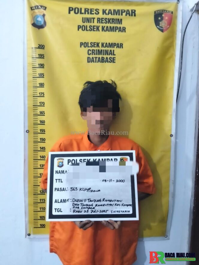 
					Polsek Kampar Tangkap Pelaku Curanmor di Desa Tanjung Rambutan