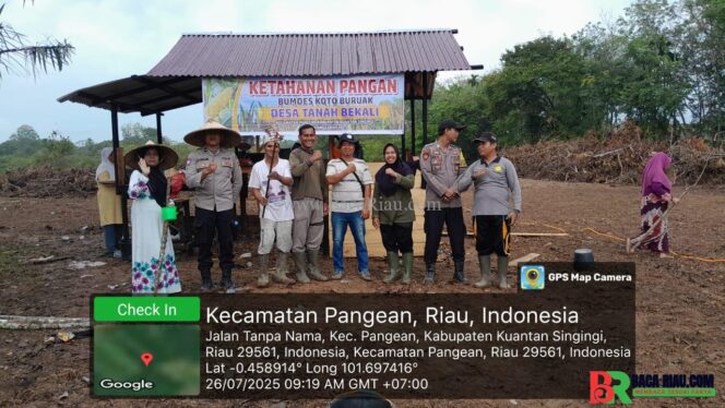 
					Polsek Pangean Dukung Ketahanan Pangan Lewat Penanaman Jagung di Tanah Bekali