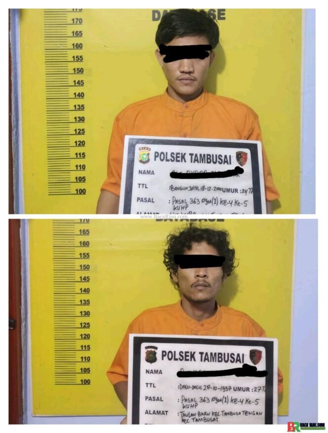 
					Polsek Tambusai Berhasil Ungkap Kasus Pencurian Sepeda Motor, 2 Tersangka Diamankan