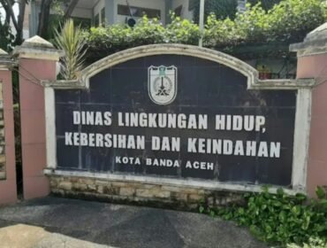 Oplus_0