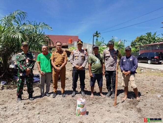 
					Kapolsek Bukit Raya Tanam Jagung Bareng Petani: Wujud Nyata Dukung Ketahanan Pangan Nasional