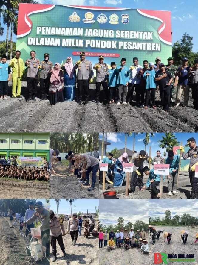 
					Kapolres Kampar dan Jajaran Tanam Jagung Serentak, Dukung Ketahanan Pangan dan Sinergitas di Kampar