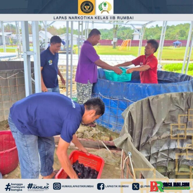 
					Panen Raya Lapas Narkotika Rumbai, Wujudkan Pemberdayaan Warga Binaan