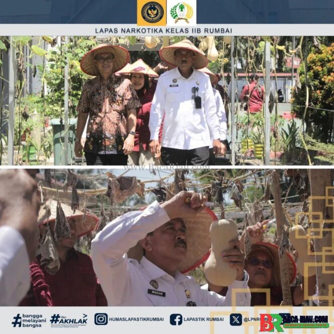 
					Staf Khusus Bidang Administrasi Panen Raya di Lapas Terbuka Rumbai: Wujud Nyata Ketahanan Pangan dan Pemberdayaan Warga Binaan