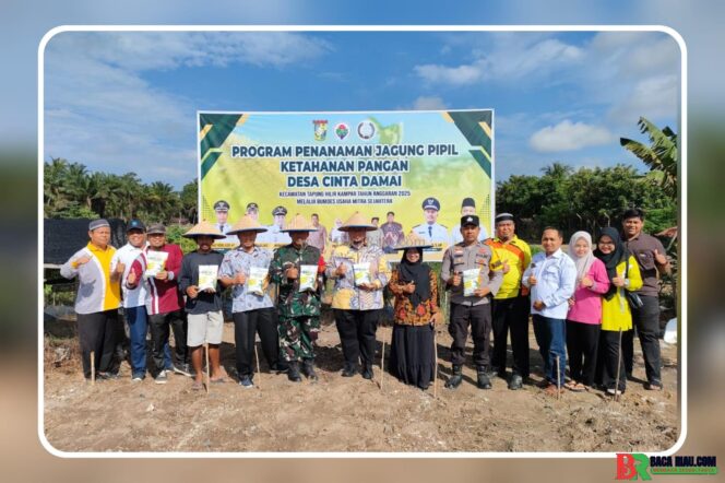 
					Dukung Ketahanan Pangan, Polsek Tapung Hilir Ikut Penanaman Jagung Pipil di Desa Cinta Damai