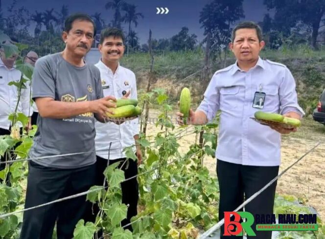 
					Kakanwil Ditjenpas Riau Panen Timun di Rutan Pekanbaru, Dorong Kemandirian Warga Binaan Melalui Program Ketahanan Pangan