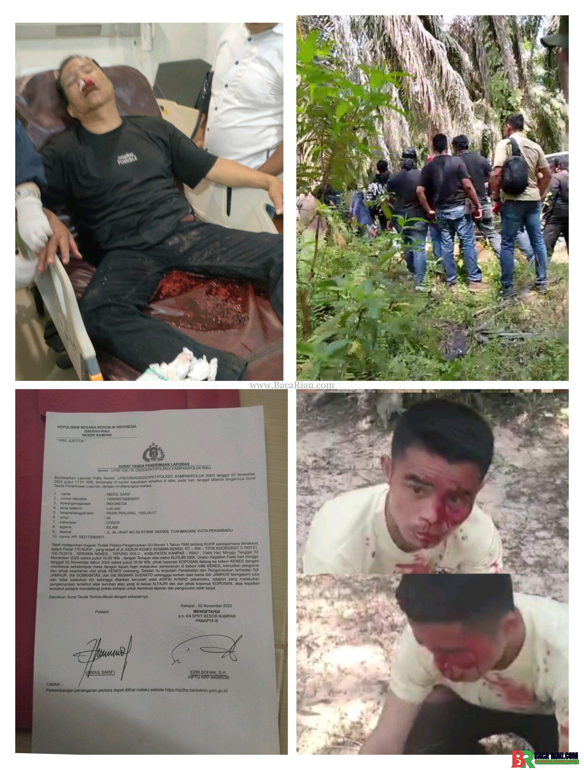 Kekerasan dan Penyerangan di Kebun Koperasi KNES: Satu Korban Luka Berat, Pengurus Koperasi Terancam Keselamatannya