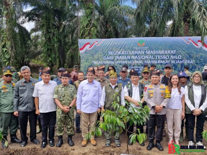 
					Disaksikan Menhut, Gubernur, Kapolda, Pangdam XIX, dan Kajati Riau, Penumbangan Sawit Awali Pemulihan Tesso Nilo