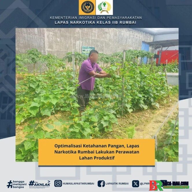 
					Optimalisasi Ketahanan Pangan, Lapas Narkotika Rumbai Lakukan Perawatan Lahan Produktif