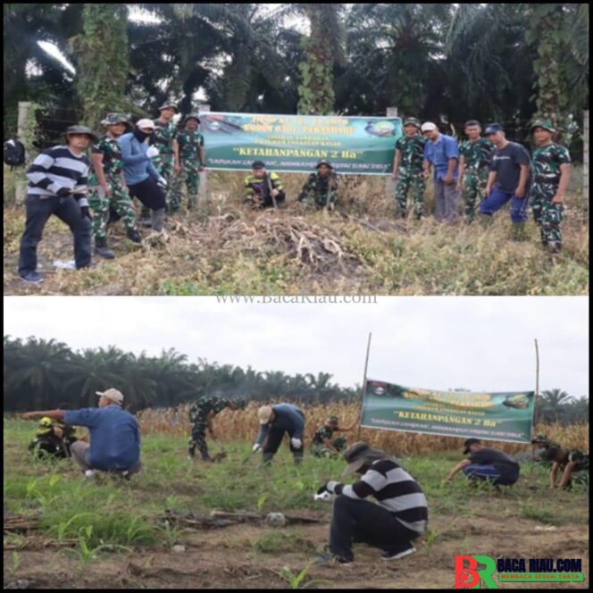 
					Tanam Jagung, Cabai, dan Ubi, Satgas TMMD dan Warga Wujudkan Lahan Produktif