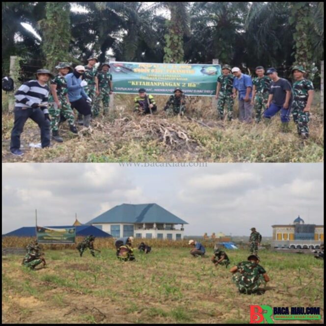 
					Langkah Nyata TMMD ke-127, TNI dan Warga Tanam Jagung, Cabai, dan Ubi