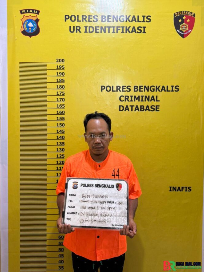 
					Polres Bengkalis Kembali Ungkap Kasus Illegal Logging di Siak Kecil, Satu Pelaku Diamankan