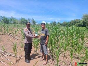 POLSEK TAMBUSAI CINTA PETANI, SALURKAN BANTUAN RACUN HAMA UNTUK DUKUNG KETAHANAN PANGAN NASIONAL