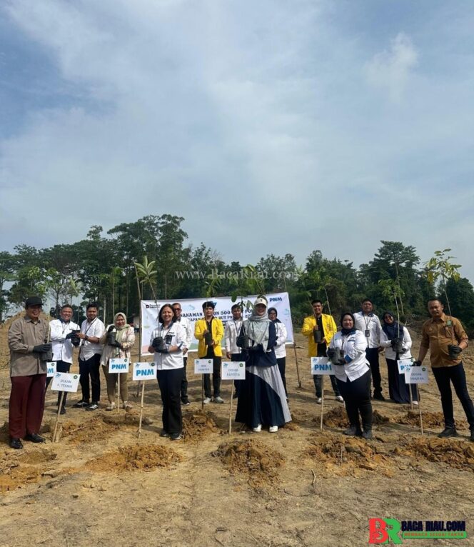 
					Dari Pakaian, Buku, hingga 29.000 Pohon: PNM Perluas Makna Pemberdayaan di Masyarakat Akar Rumput