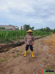 Dukung Ketahanan Pangan, Polsek KSKP Polres Dumai Cek Perkembangan Tanaman Jagung 1,1 Hektare