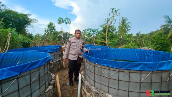 
					Polsek Lirik Cek Budidaya 1.000 Ekor Ikan Lele Binaan di Desa Sukajadi